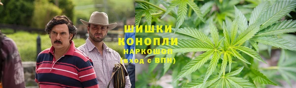 стаф Гусиноозёрск