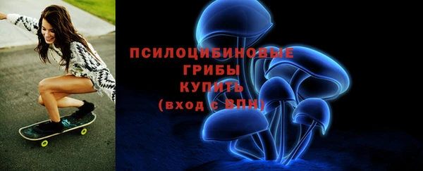 меф Гусь-Хрустальный