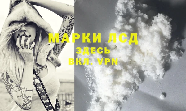стаф Гусиноозёрск
